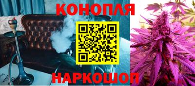 мдпв Славгород