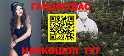 мдпв Славгород