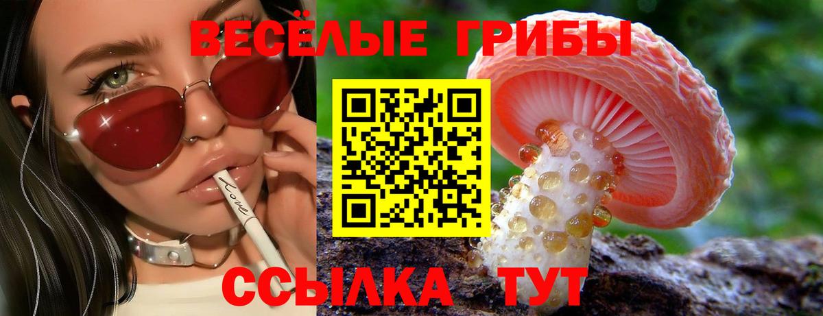 Псилоцибиновые грибы прущие грибы Отрадное